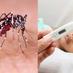 Dengue Fever: వర్షాకాలంలో జ్వరమా ? డెంగ్యూ కావొచ్చు !