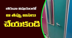Financial tips: ఇంట్లో బీరువాలో ఈ వస్తువులు పెడితే.. అప్పులు తీరి కోట్లు సంపాదిస్తారట