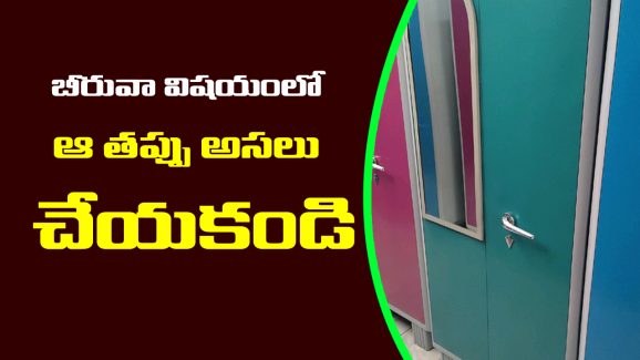 Financial tips: ఇంట్లో బీరువాలో ఈ వస్తువులు పెడితే.. అప్పులు తీరి కోట్లు సంపాదిస్తారట