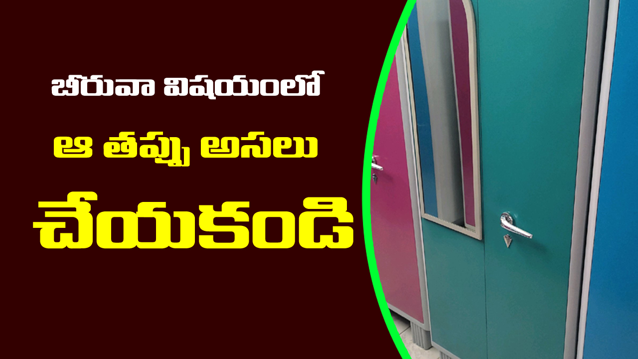 Financial tips: ఇంట్లో బీరువాలో ఈ వస్తువులు పెడితే.. అప్పులు తీరి కోట్లు సంపాదిస్తారట