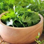 Coriander Leaves: కొత్తిమీరతో మ్యాజిక్.. ఇలా తింటే బోలెడు ప్రయోజనాలు !