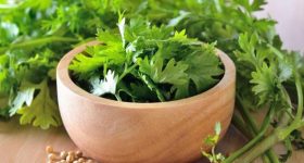 Coriander Leaves: కొత్తిమీరతో మ్యాజిక్.. ఇలా తింటే బోలెడు ప్రయోజనాలు !