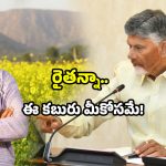 AP Govt updates: రైతులకు గుడ్ న్యూస్.. ఆ పంట కొనుగోలుకు రేటు ఫిక్స్.. మీరు సిద్ధమేనా!