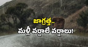 Young president: 20 ఏళ్లకే సొంత దేశాన్ని సృష్టించి తనను తానే అధ్యక్షుడిగా ప్రకటించుకున్న యువకుడు, 400 మంది పౌరులు