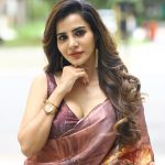 Ashu Reddy: చీరలో కూడా సెగలు పుట్టిస్తున్న వర్మ బ్యూటీ.. పైటకొంగు పక్కకు జరిపి మరీ!