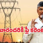 Free Electricity In AP: తెలంగాణ బాటలో ఏపీ సర్కార్.. వారందరికీ ఉచిత విద్యుత్