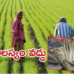 Annadata Sukhibhav Scheme: అన్నదాత సుఖీభవ స్కీమ్.. డబ్బులు జమ కాలేదా? ఇలా చేయండి?