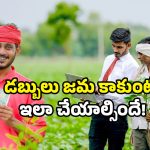 Annadata Sukhibhava: అన్నదాత సుఖీభవ స్కీమ్ పై లేటెస్ట్ అప్ డేట్.. డబ్బులు జమ కాకుంటే ఇలా చేయండి!