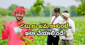 Annadata Sukhibhava: అన్నదాత సుఖీభవ స్కీమ్ పై లేటెస్ట్ అప్ డేట్.. డబ్బులు జమ కాకుంటే ఇలా చేయండి!