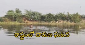 Kukatpally Nallacheruvu: ముక్కు మూసుకొనే చెరువు.. రూపం మార్చుకుంది.. రమ్మని అంటోంది!