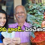 Araku Coffee: ఏపీ ప్రభుత్వం కీలక నిర్ణయం.. అరకులో ఇకపై అందరూ లక్షాధికారులే!