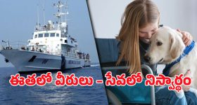 Forest Beat Officer: అటవీశాఖలో భారీగా ఉద్యోగాలు.. సిలబస్ ఏంటి..?