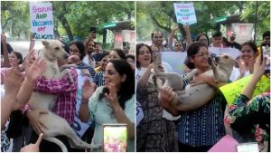 RGV Tweet: కుక్కతో ఆంటీలు డ్యాన్స్.. ఆర్జీవీ ట్వీట్ చూస్తే నవ్వు ఆగదు!