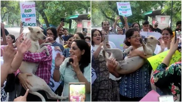 RGV Tweet: కుక్కతో ఆంటీలు డ్యాన్స్.. ఆర్జీవీ ట్వీట్ చూస్తే నవ్వు ఆగదు!