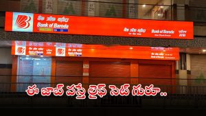 BANK OF BARODA: డిగ్రీ అర్హతతో భారీగా ఉద్యోగాలు.. భారీ వేతనం, ఇదే మంచి అవకాశం బ్రో