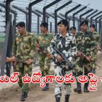 BSF Jobs: బార్డర్ సెక్యూరిటీ ఫోర్సులో కానిస్టేబుల్ ఉద్యోగాలు.. ఈ అర్హత ఉంటే చాలు