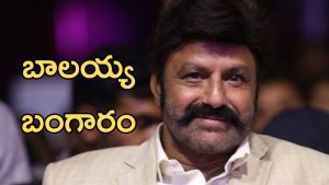 Nandamuri Balakrishna: సీఎం రిలీఫ్ ఫండ్ కు బాలకృష్ణ భారీ విరాళం