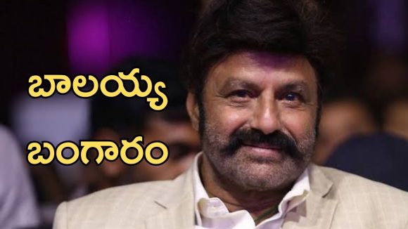 Nandamuri Balakrishna: సీఎం రిలీఫ్ ఫండ్ కు బాలకృష్ణ భారీ విరాళం