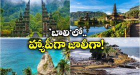 Bali vacation: బాలి వెకేషన్ కు వెళ్దాం వస్తావా మామా బ్రో.. ఖర్చు కూడా తక్కువే!