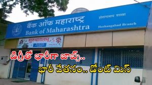 Bank of Maharashtra: డిగ్రీ అర్హతతో 500 ఉద్యోగాలు.. జీతమైతే అక్షరాల రూ.93,960.. ఇంకెందుకు ఆలస్యం