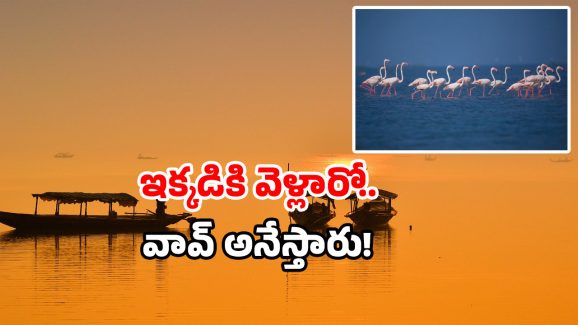 Best Lakes in India: ఇదొక మాయా ప్రపంచం.. ఒకసారి వెళ్తే మరిచిపోలేరు.. మీదగ్గరే ప్లాన్ చేసుకోండి!