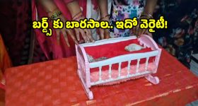 Birds lovers: పక్షులకు బారసాల.. ఇదెక్కడి విడ్డూరం అనుకోవద్దు.. అసలు ట్విస్ట్ ఇదే!