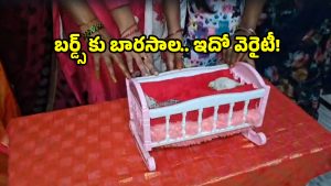 Birds lovers: పక్షులకు బారసాల.. ఇదెక్కడి విడ్డూరం అనుకోవద్దు.. అసలు ట్విస్ట్ ఇదే!