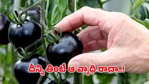 Black Tomatoes: నల్ల టమాటాలు కూడా ఉన్నాయా? దీన్ని తింటే ఇన్ని లాభాలా !