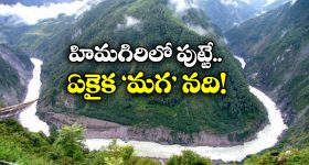 Male River: దేశంలో ప్రవహించే ఏకైక మగ నది ఇదే, దీని ప్రత్యేకత ఏంటో తెలుసా?