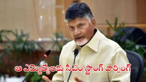 CM Chandrababu: మంత్రులకు, ఎమ్మెల్యేలకు సీఎం చంద్రబాబు వార్నింగ్