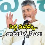 CM Chandrababu: పెద్దాపురంలో కలకలం.. చంద్రబాబు కాన్వాయ్ ఆపిన భూమి బాధితుడు!