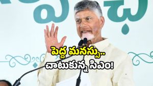 CM Chandrababu: పెద్దాపురంలో కలకలం.. చంద్రబాబు కాన్వాయ్ ఆపిన భూమి బాధితుడు!