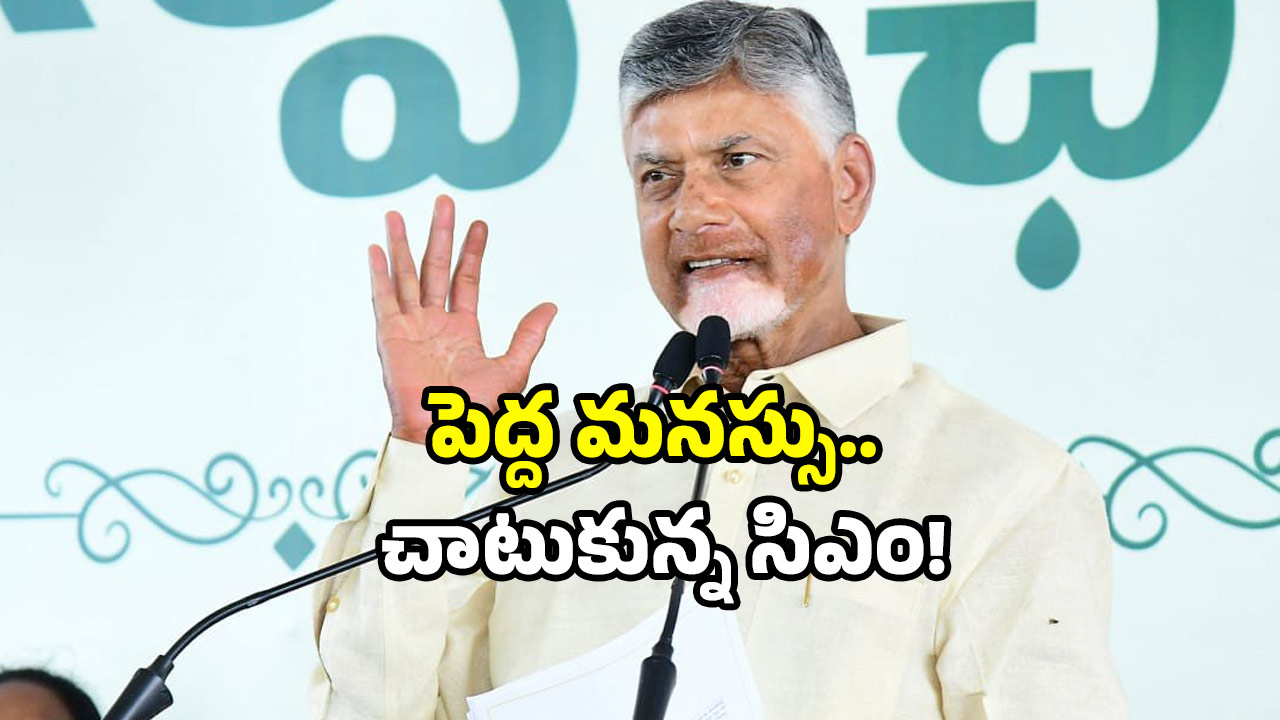 CM Chandrababu: పెద్దాపురంలో కలకలం.. చంద్రబాబు కాన్వాయ్ ఆపిన భూమి బాధితుడు!