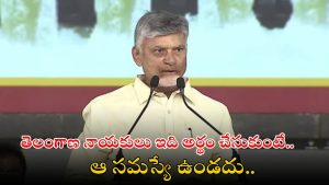 CM Chandrababu Naidu: తెలంగాణ నాయకులు ఈ విషయాన్ని గ్రహించాలి.. సీఎం చంద్రబాబు విజ్ఞప్తి