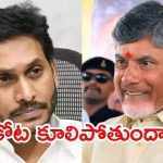 Pulivendula Victory: జగన్‌కు మరిన్ని షాకులు.. పులివెందుల విక్టరీపై సీఎం చంద్రబాబు రియాక్షన్