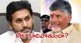 Pulivendula Victory: జగన్‌కు మరిన్ని షాకులు.. పులివెందుల విక్టరీపై సీఎం చంద్రబాబు రియాక్షన్