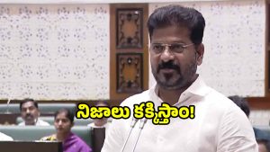 CM Revanth Reddy: హరీష్ రావు అంత భయమేళ.. కాస్త! అసెంబ్లీలో రేవంత్ రెడ్డి ఫైర్..