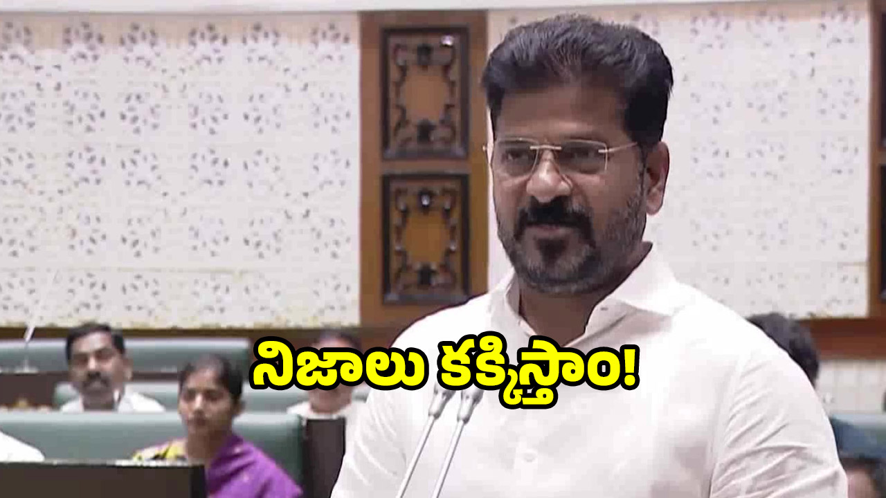 CM Revanth Reddy: హరీష్ రావు అంత భయమేళ.. కాస్త! అసెంబ్లీలో రేవంత్ రెడ్డి ఫైర్..
