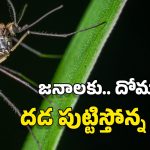 China New Virus: ఏనుగు దోమలు.. డ్రోన్లు.. ఫైన్లు.. చైనాతో మామూలుగా ఉండదు, ఆ వ్యాధిపై ఏకంగా యుద్ధం!