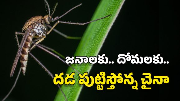 China New Virus: ఏనుగు దోమలు.. డ్రోన్లు.. ఫైన్లు.. చైనాతో మామూలుగా ఉండదు, ఆ వ్యాధిపై ఏకంగా యుద్ధం!