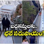 Escalators at Mountains: ఏకంగా పర్వతాలకే ఎస్కలేటర్లు.. చైనా వాళ్లు మామూలోళ్లు కాదండోయ్!