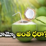 Coconut Price: భారత్ లో రూ. 50 కొబ్బరి బోండాం, అమెరికా, చైనాలో ఎంతో తెలిస్తే కళ్లు తేలేయాల్సిందే!