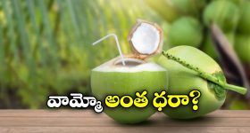 Coconut Price: భారత్ లో రూ. 50 కొబ్బరి బోండాం, అమెరికా, చైనాలో ఎంతో తెలిస్తే కళ్లు తేలేయాల్సిందే!
