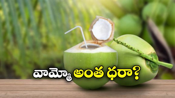 Coconut Price: భారత్ లో రూ. 50 కొబ్బరి బోండాం, అమెరికా, చైనాలో ఎంతో తెలిస్తే కళ్లు తేలేయాల్సిందే!