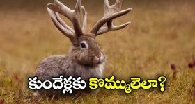 Nara Lokesh: అలాంటి సినిమాలను రిలీజ్ కానివ్వం -లోకేష్ ఘాటు హెచ్చరిక