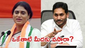 AP Politics: కాంగ్రెస్ నుంచి జగన్‌కు సంకేతాలు.. షర్మిలతో చేయి కలుపుతారా? ఏపీలో హాట్‌గా చర్చ