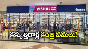 Vishal Mega Mart: విశాల్ మార్ట్‌ లో దొంగతనాలు, మరీ.. అండర్ వేర్లు కూడానా?