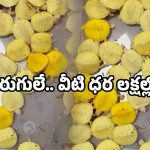 Customs arrest: ఎయిర్‌పోర్టులో చెకింగ్.. బ్యాగ్ నిండా పురుగులే.. అక్కడే అరెస్ట్!