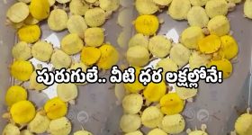 Customs arrest: ఎయిర్‌పోర్టులో చెకింగ్.. బ్యాగ్ నిండా పురుగులే.. అక్కడే అరెస్ట్!