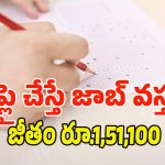 DSSSB Jobs: ఢిల్లీ సబార్డినేట్ సర్వీసెస్‌లో 2119 ఉద్యోగాలు.. టెన్త్, ఇంటర్ పాసైతే చాలు.. ఇంకా 3 రోజులే..?